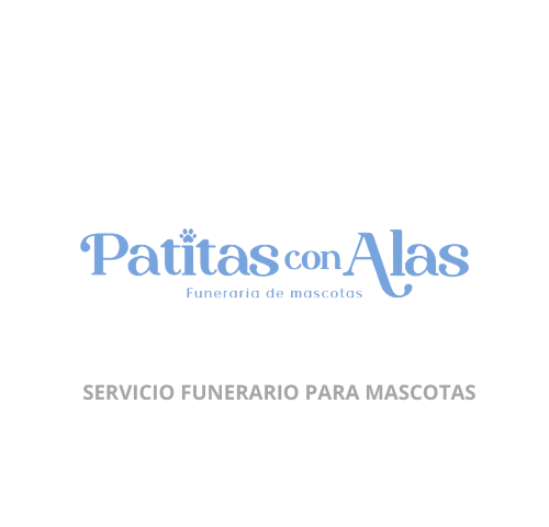 PATITAS CON ALAS - EMAUS